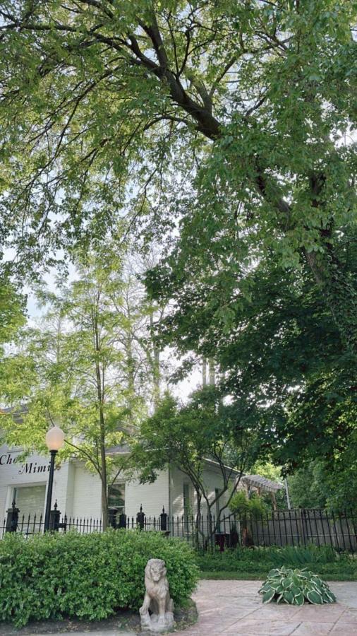 Bed and Breakfast The Ginkgo Tree à Mount Pleasant Extérieur photo